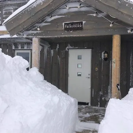 Holiday home Falkeblikk-Mountain Cabin With Majestic Views Bo (Telemark)