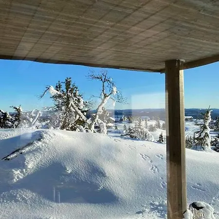 Holiday home Falkeblikk-Mountain Cabin With Majestic Views Bo (Telemark)