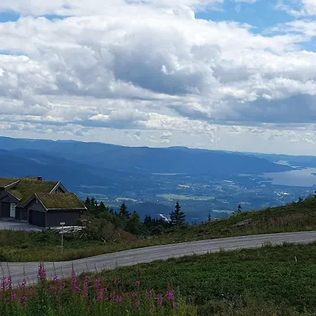 Dom wakacyjny Falkeblikk-mountain With Majestic Views Bo (Telemark)