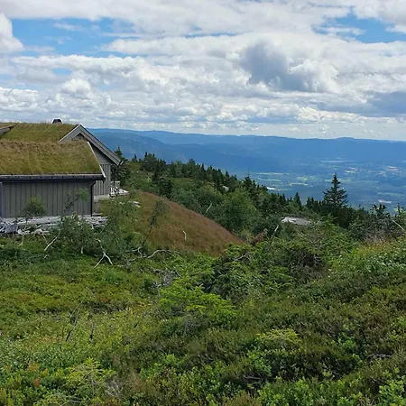 Falkeblikk-mountain With Majestic Views Feriehus *