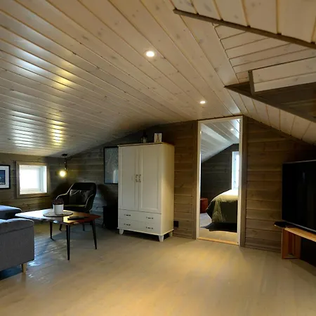 Falkeblikk-Mountain Cabin With Majestic Views Holiday home Bo (Telemark)