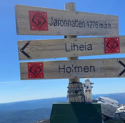 Ferienhaus Falkeblikk-mountain With Majestic Views