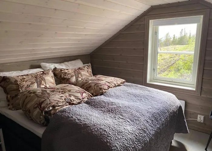 Falkeblikk-mountain With Majestic Views Ferienhaus Bo (Telemark)
