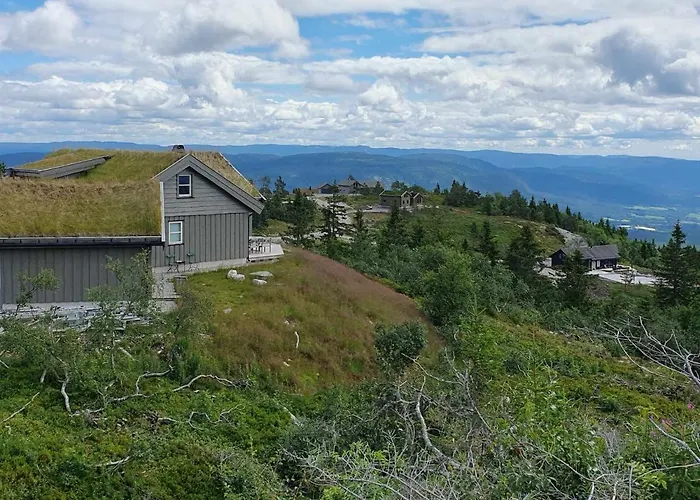 Ferienhaus Falkeblikk-mountain With Majestic Views *