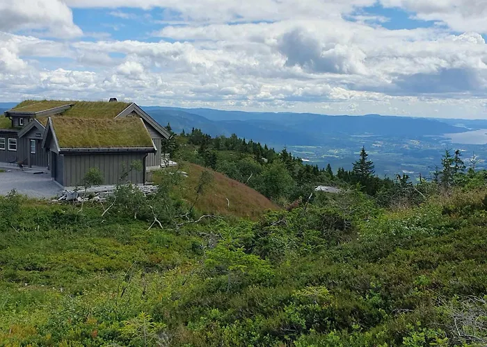 Falkeblikk-mountain With Majestic Views Ferienhaus *